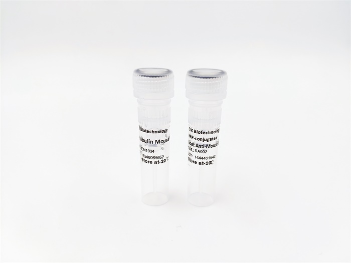 意大利贵宾会-贵宾会官方网站入口