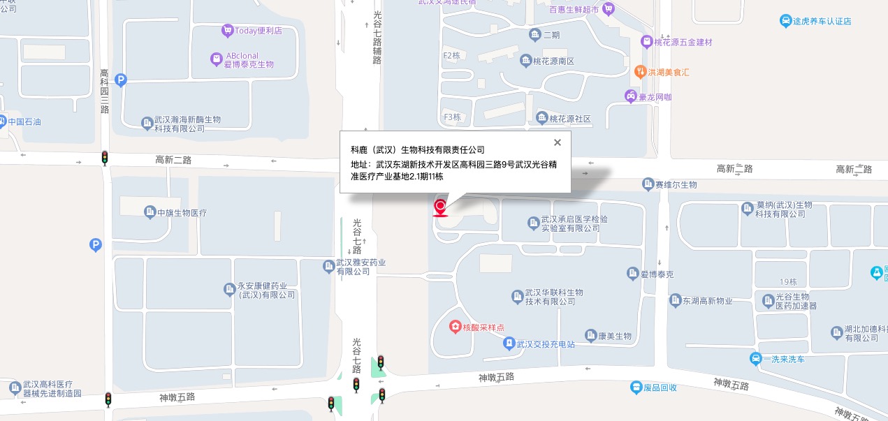 意大利贵宾会-贵宾会官方网站入口