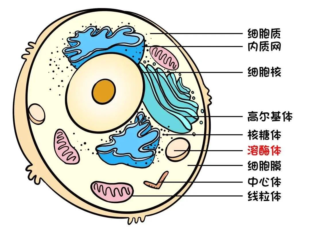 意大利贵宾会-贵宾会官方网站入口