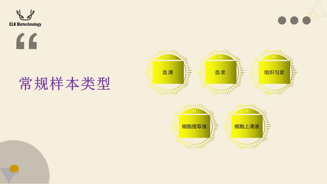 意大利贵宾会-贵宾会官方网站入口