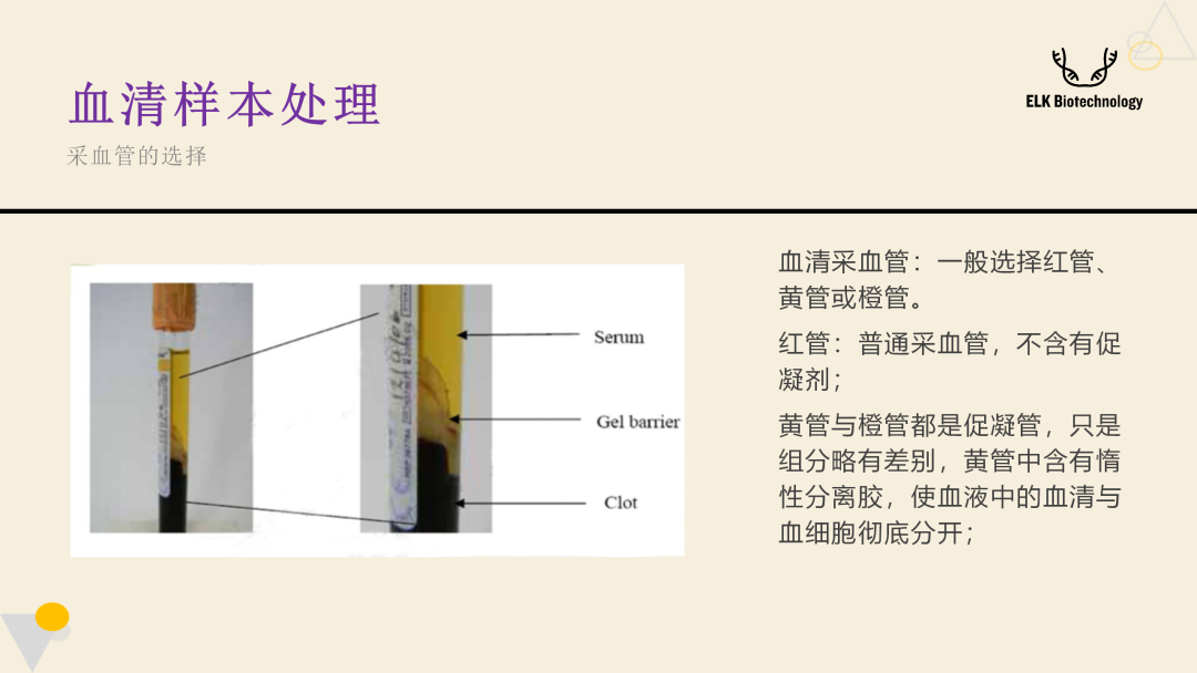 意大利贵宾会-贵宾会官方网站入口