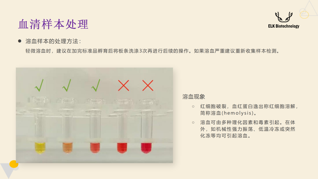 意大利贵宾会-贵宾会官方网站入口