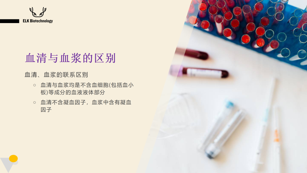 意大利贵宾会-贵宾会官方网站入口