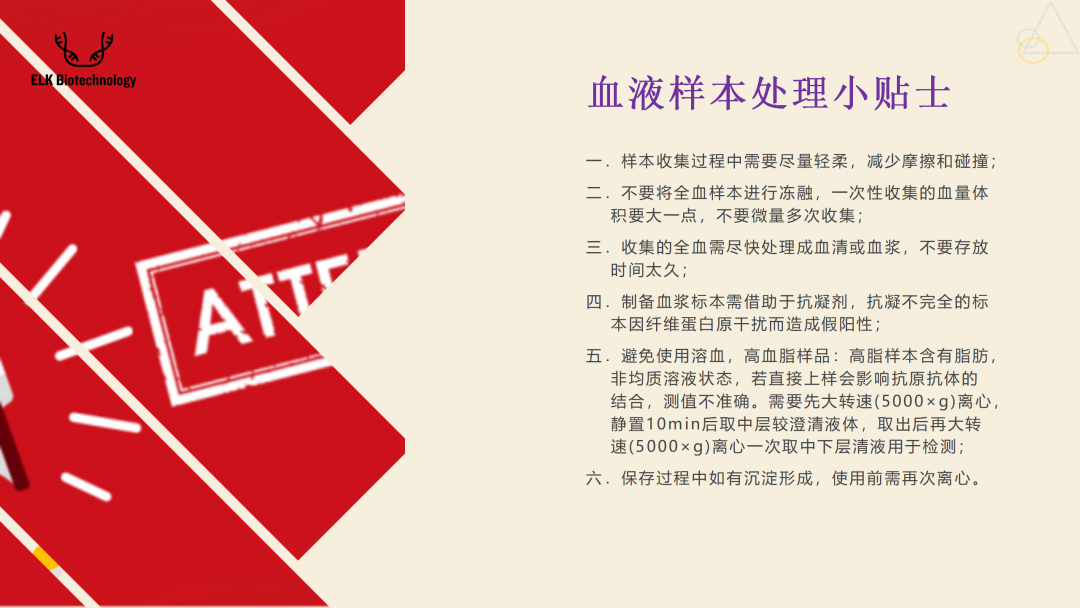 意大利贵宾会-贵宾会官方网站入口