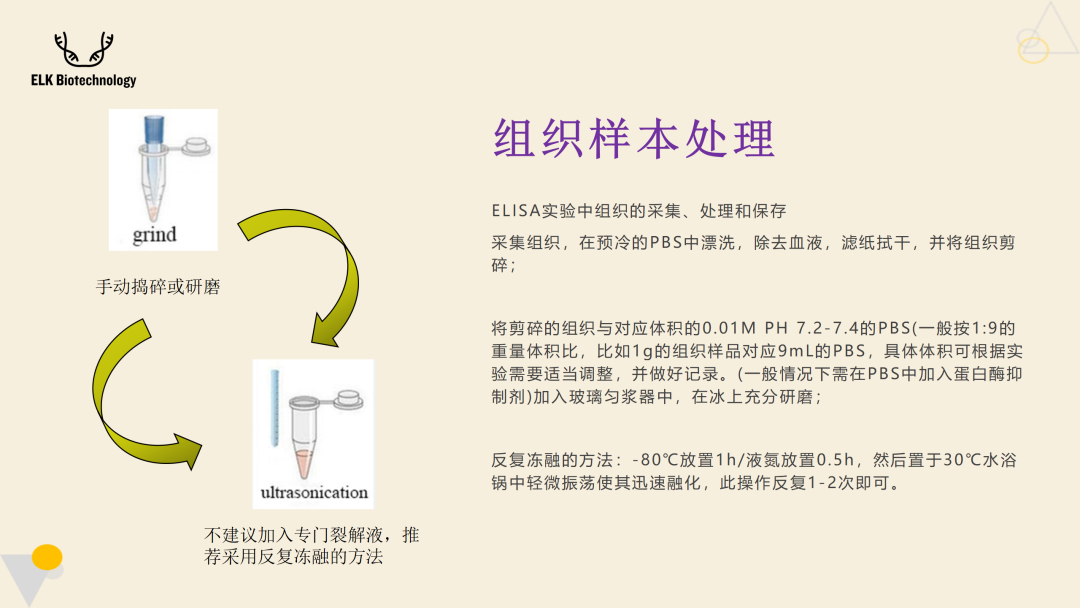 意大利贵宾会-贵宾会官方网站入口