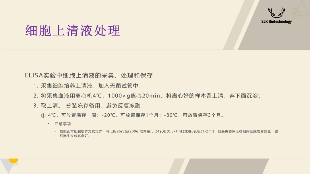 意大利贵宾会-贵宾会官方网站入口