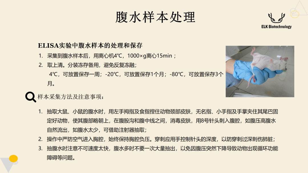 意大利贵宾会-贵宾会官方网站入口