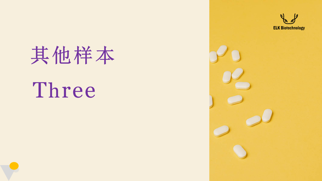 意大利贵宾会-贵宾会官方网站入口