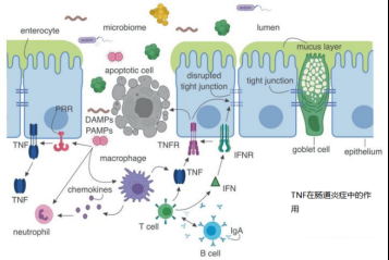 意大利贵宾会-贵宾会官方网站入口