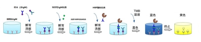 意大利贵宾会-贵宾会官方网站入口