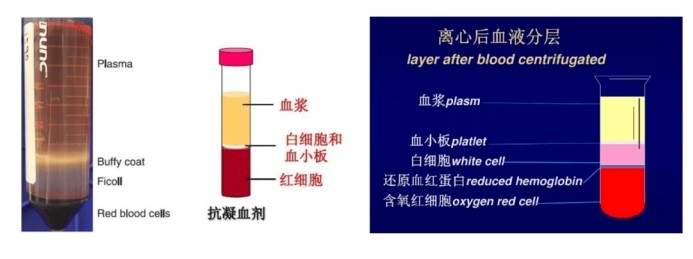 意大利贵宾会-贵宾会官方网站入口