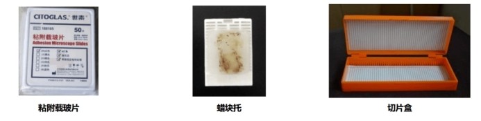 意大利贵宾会-贵宾会官方网站入口