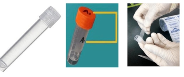 意大利贵宾会-贵宾会官方网站入口