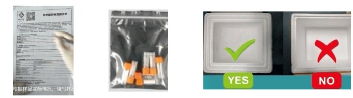 意大利贵宾会-贵宾会官方网站入口