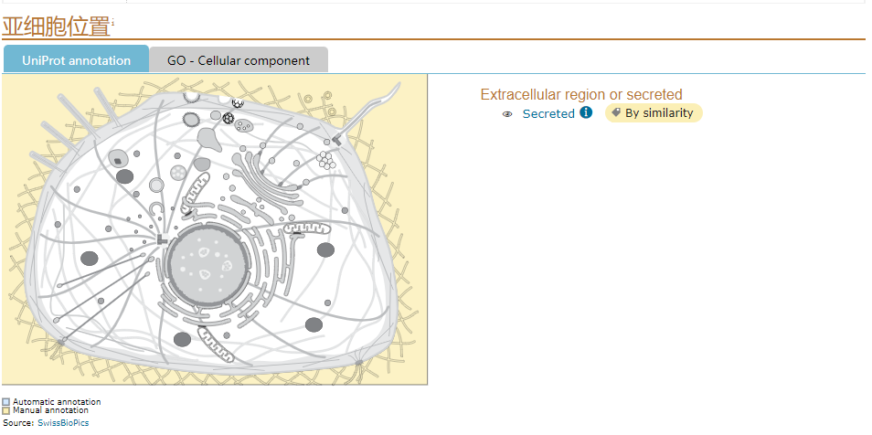 意大利贵宾会-贵宾会官方网站入口