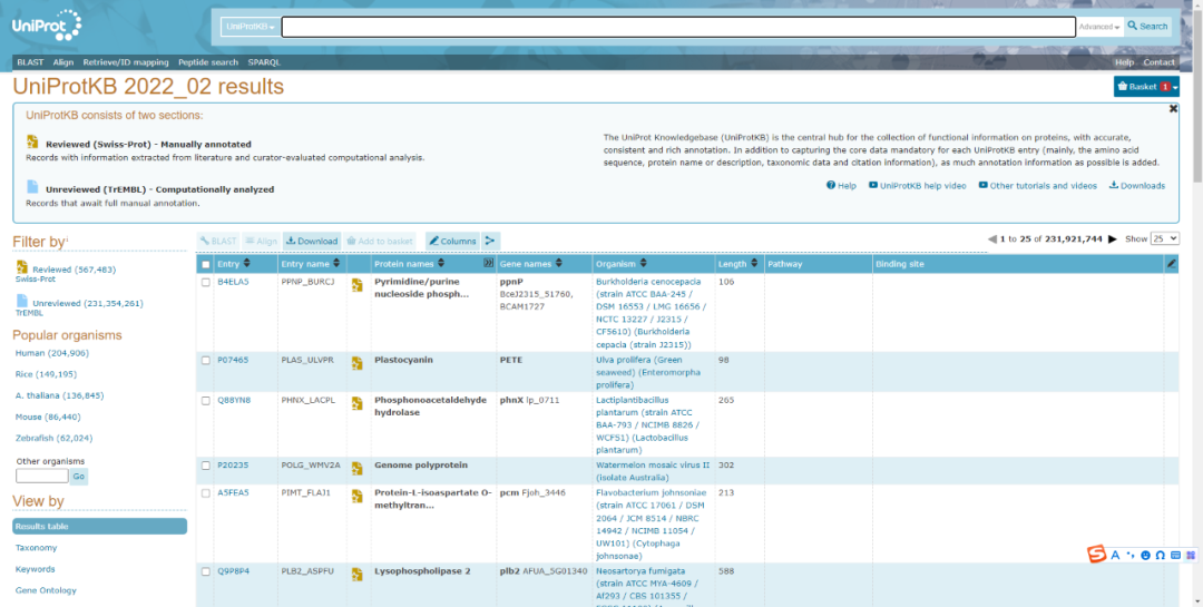 意大利贵宾会-贵宾会官方网站入口