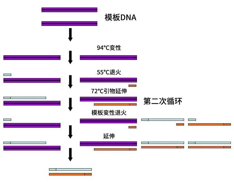 意大利贵宾会-贵宾会官方网站入口