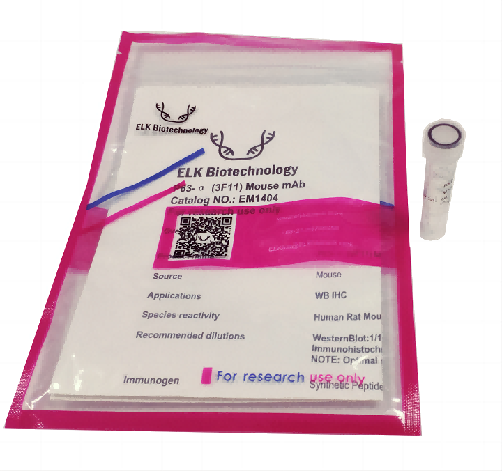 意大利贵宾会-贵宾会官方网站入口