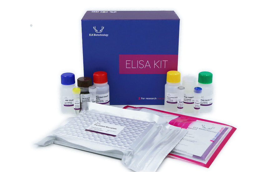 意大利贵宾会-贵宾会官方网站入口