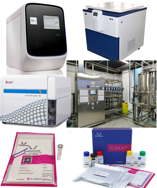 意大利贵宾会-贵宾会官方网站入口