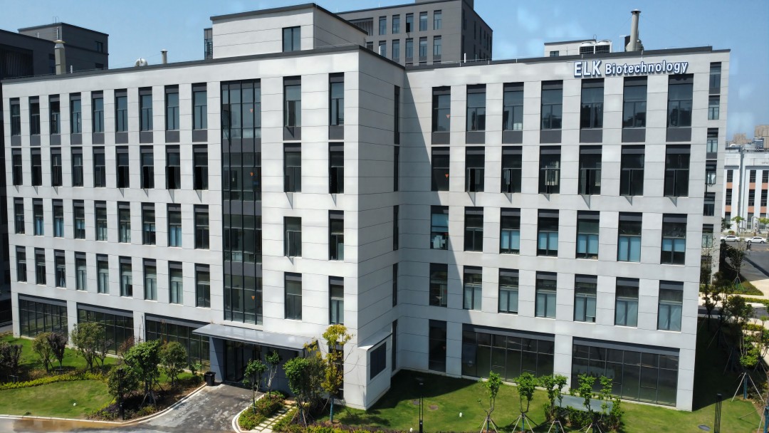 意大利贵宾会-贵宾会官方网站入口