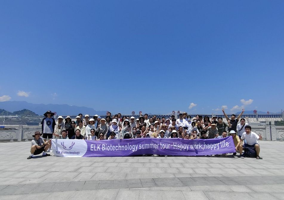 意大利贵宾会-贵宾会官方网站入口