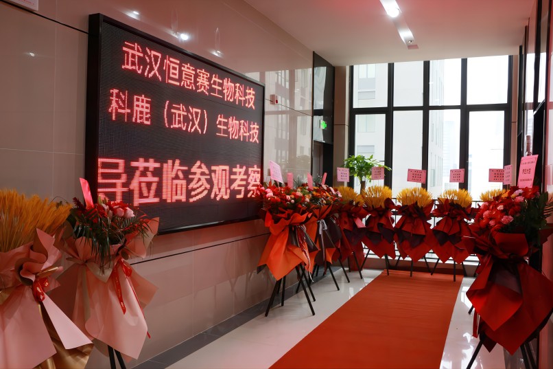 意大利贵宾会-贵宾会官方网站入口