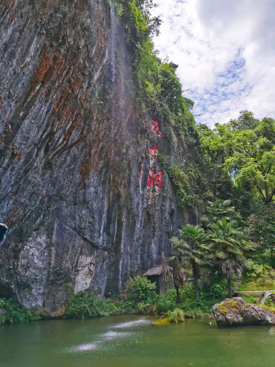意大利贵宾会-贵宾会官方网站入口