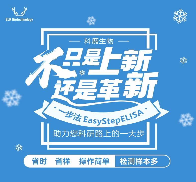 意大利贵宾会-贵宾会官方网站入口