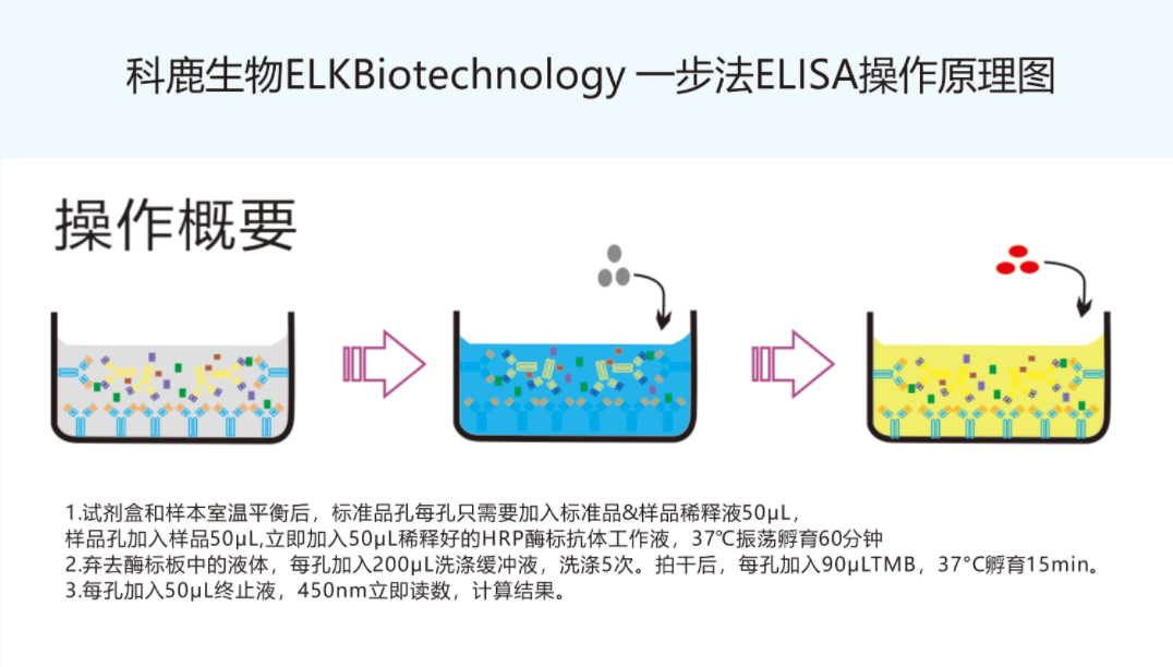 意大利贵宾会-贵宾会官方网站入口