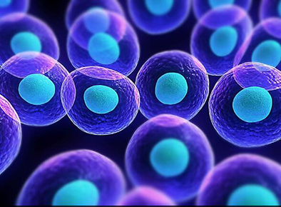 意大利贵宾会-贵宾会官方网站入口