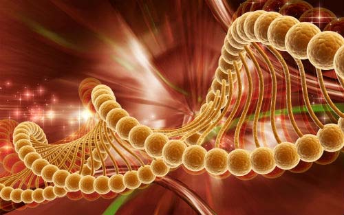 意大利贵宾会-贵宾会官方网站入口