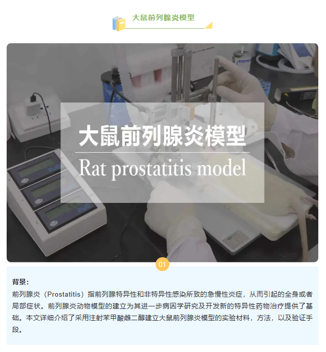 意大利贵宾会-贵宾会官方网站入口