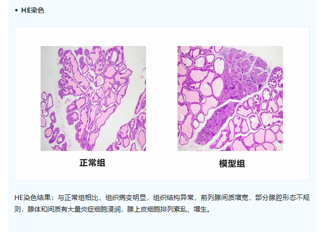 意大利贵宾会-贵宾会官方网站入口