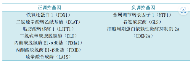 意大利贵宾会-贵宾会官方网站入口