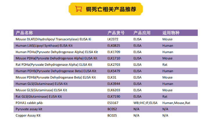意大利贵宾会-贵宾会官方网站入口