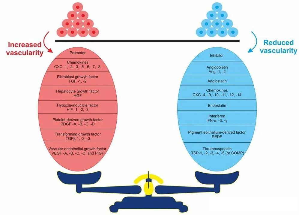 意大利贵宾会-贵宾会官方网站入口