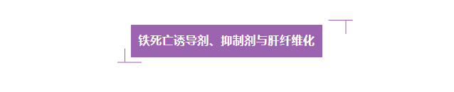 意大利贵宾会-贵宾会官方网站入口