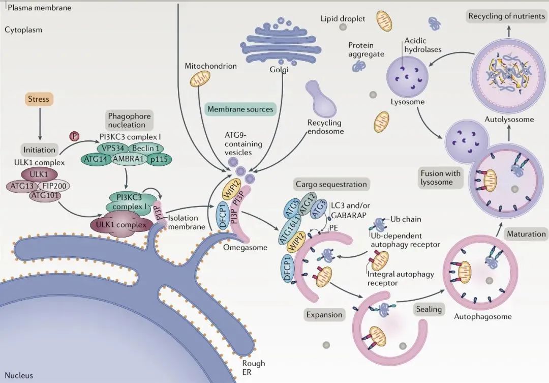 意大利贵宾会-贵宾会官方网站入口