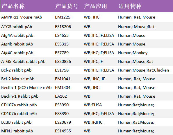 意大利贵宾会-贵宾会官方网站入口