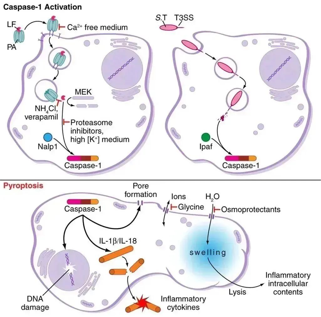 意大利贵宾会-贵宾会官方网站入口
