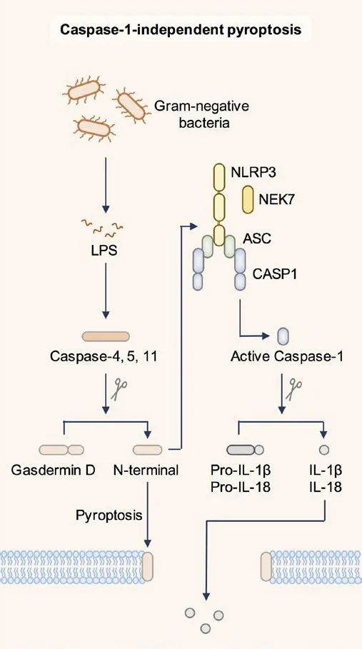 意大利贵宾会-贵宾会官方网站入口