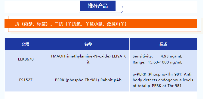 意大利贵宾会-贵宾会官方网站入口