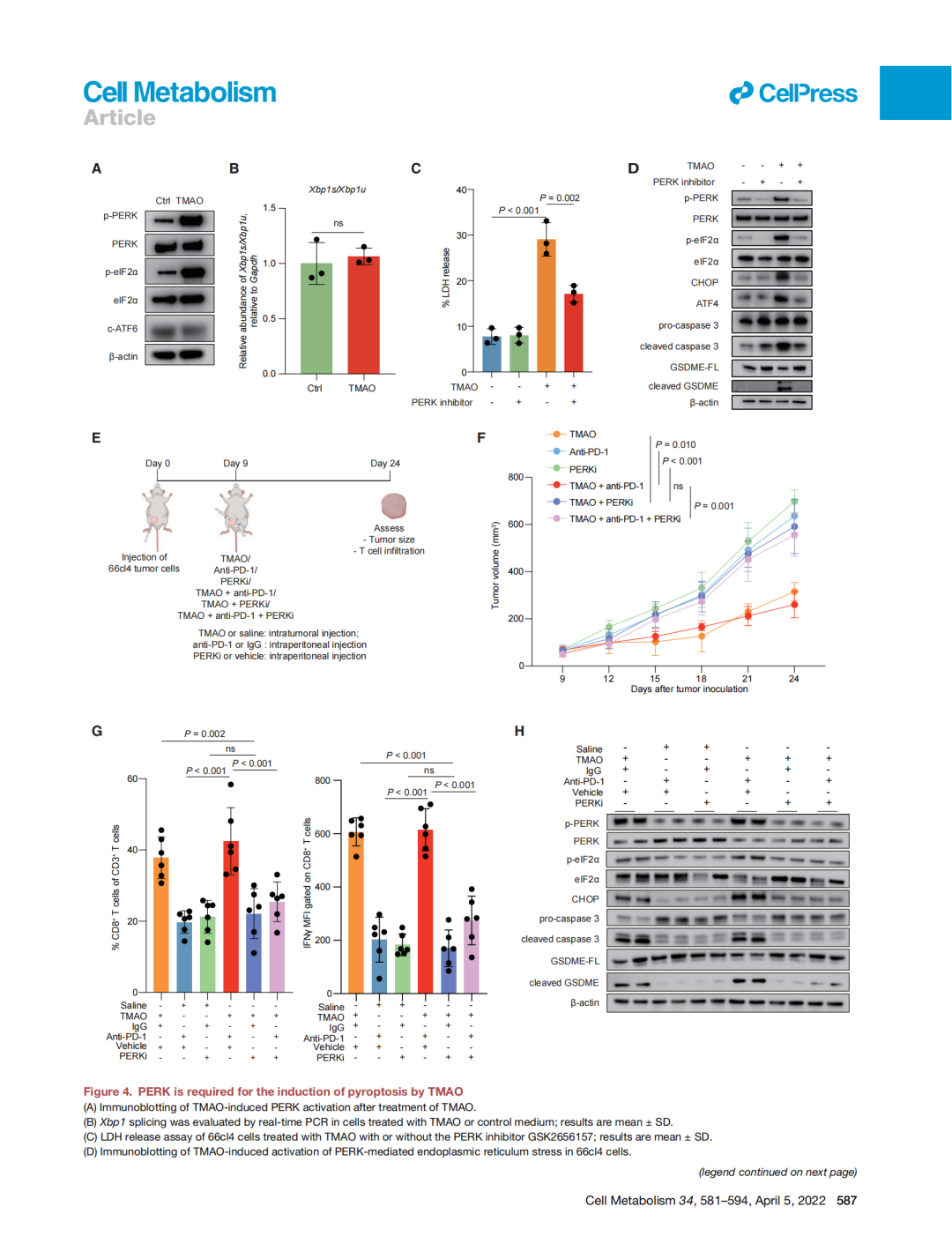 意大利贵宾会-贵宾会官方网站入口