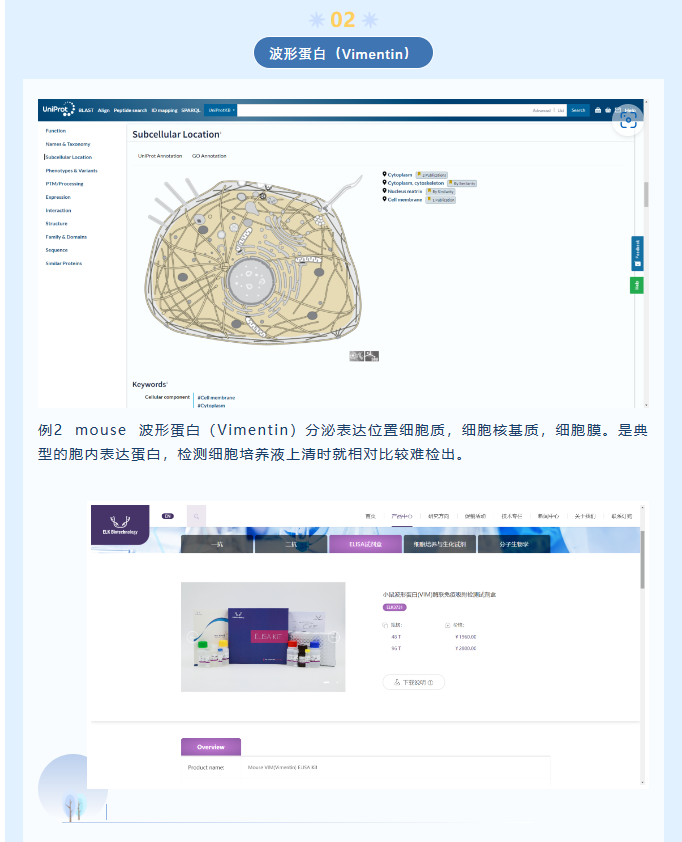 意大利贵宾会-贵宾会官方网站入口