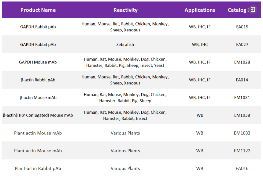 意大利贵宾会-贵宾会官方网站入口