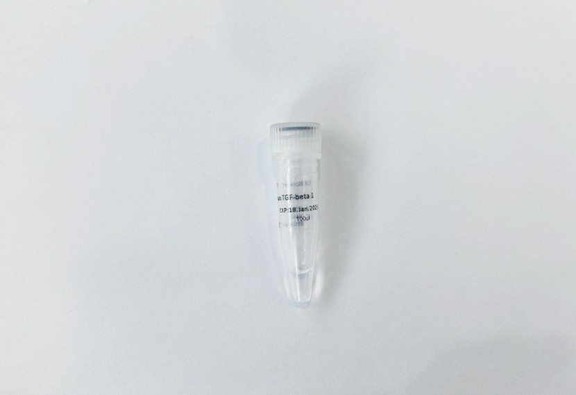 意大利贵宾会-贵宾会官方网站入口