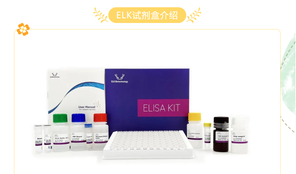 意大利贵宾会-贵宾会官方网站入口