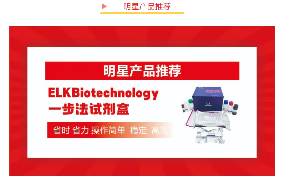 意大利贵宾会-贵宾会官方网站入口