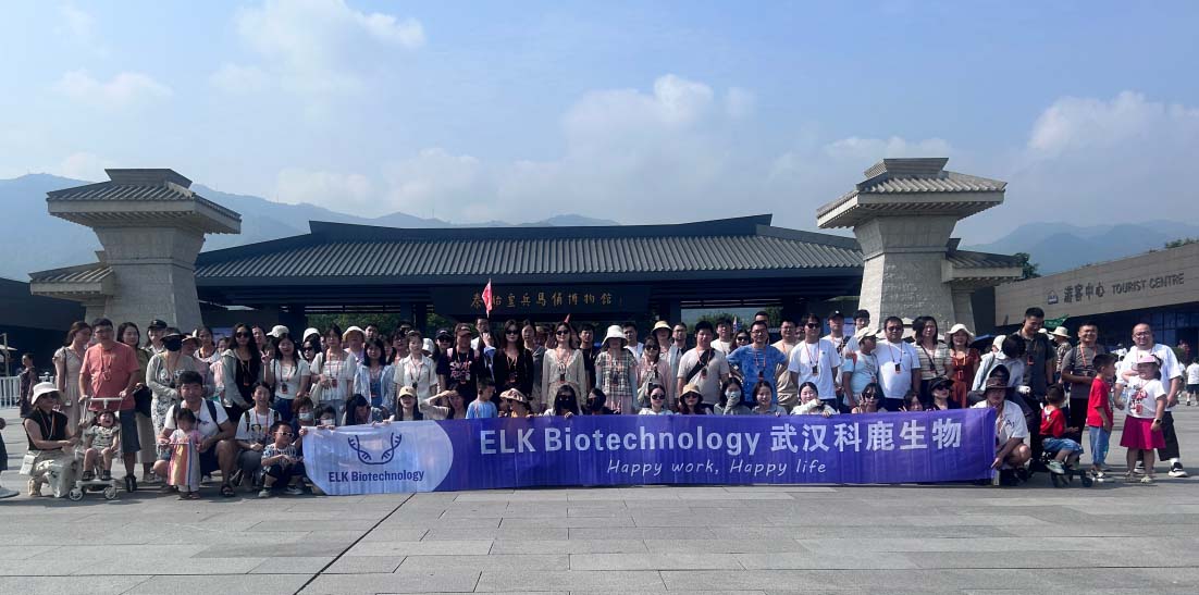 意大利贵宾会-贵宾会官方网站入口